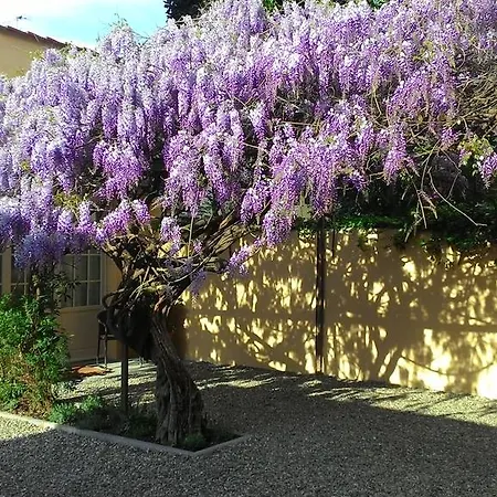 Bed and breakfast Villino Fiorentino